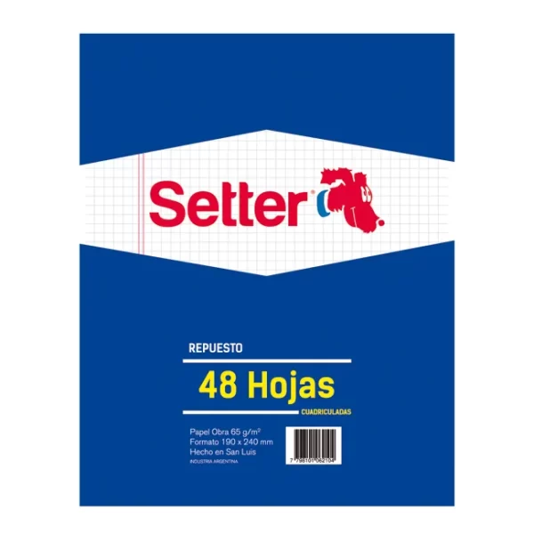 REPUESTO SETTER X 48 CUADRICULADO